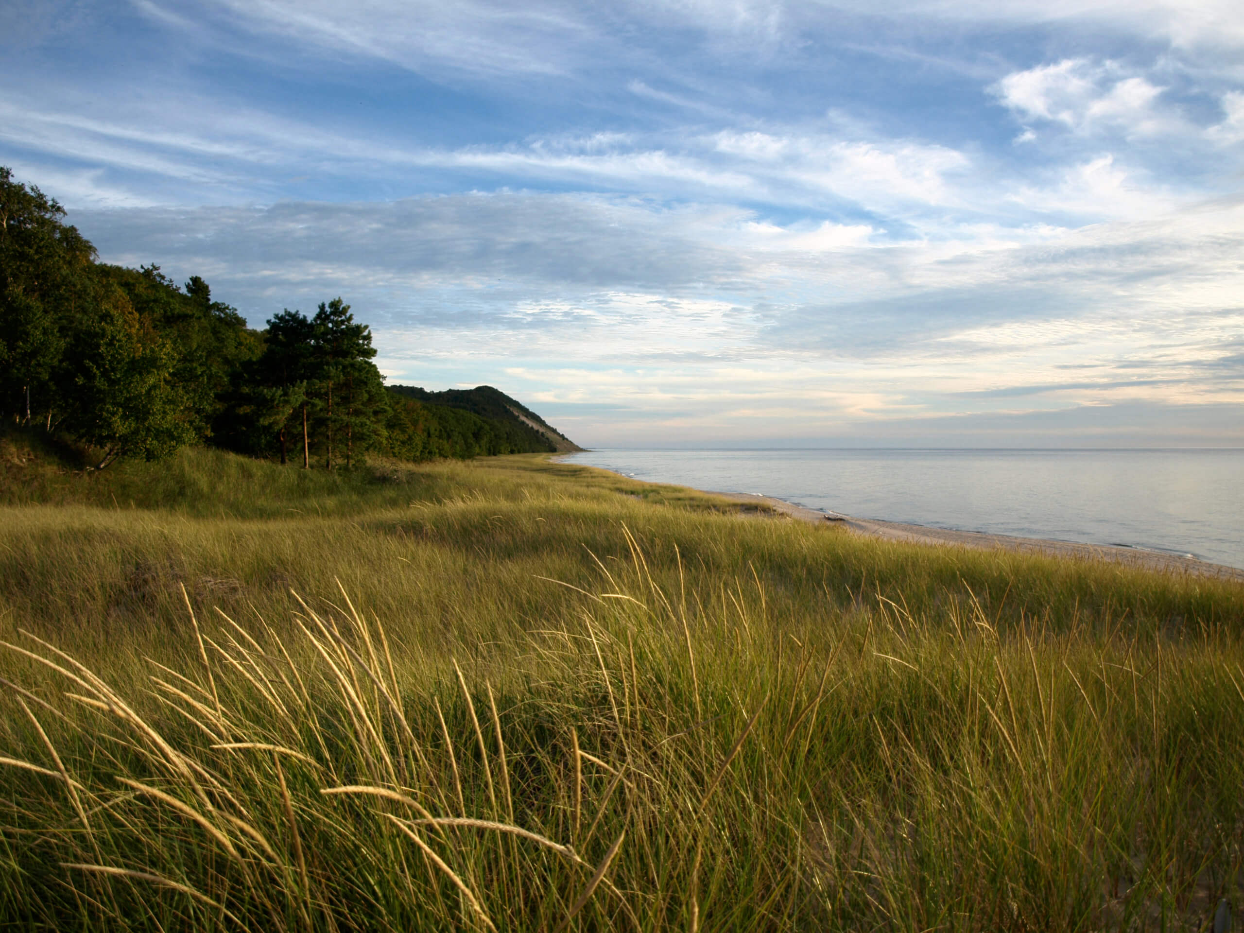 Canvas Tote – Grand Traverse Regional Land Conservancy