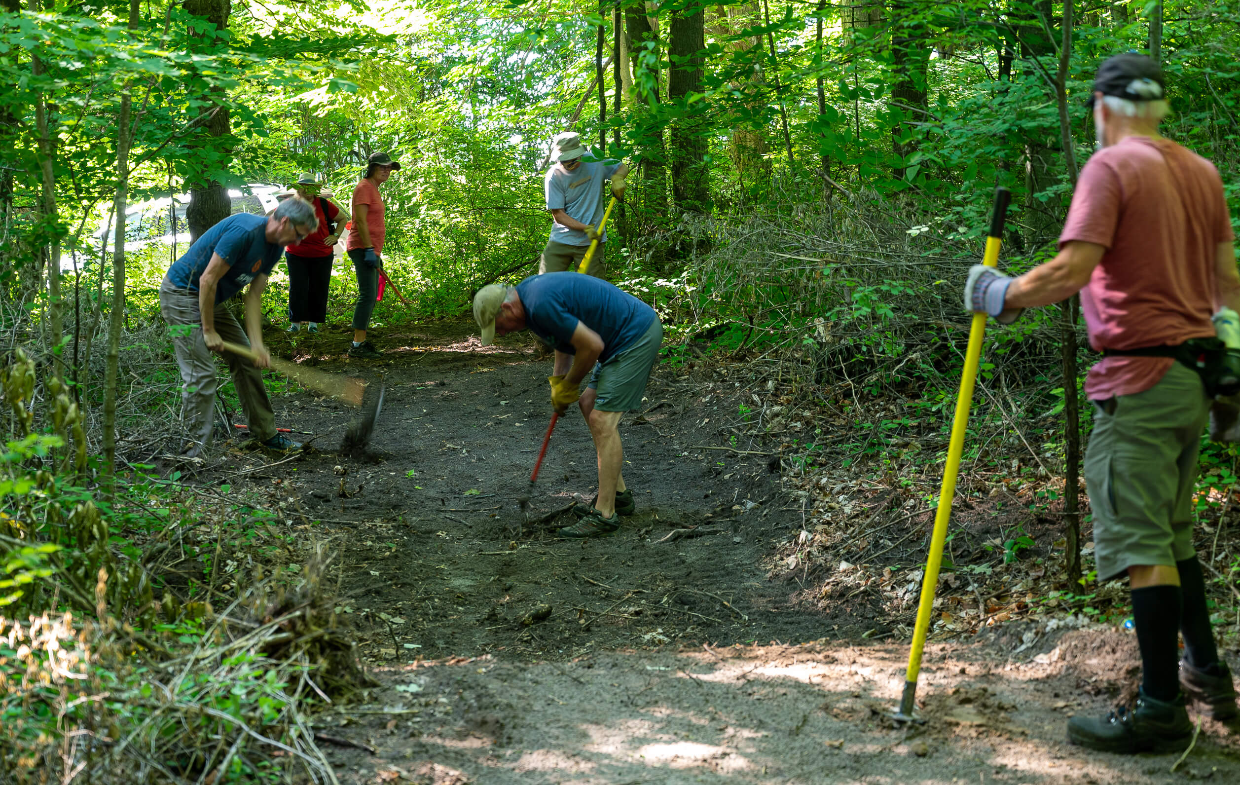 Volunteer Training: Trail Building and Design - Grand Traverse Regional ...