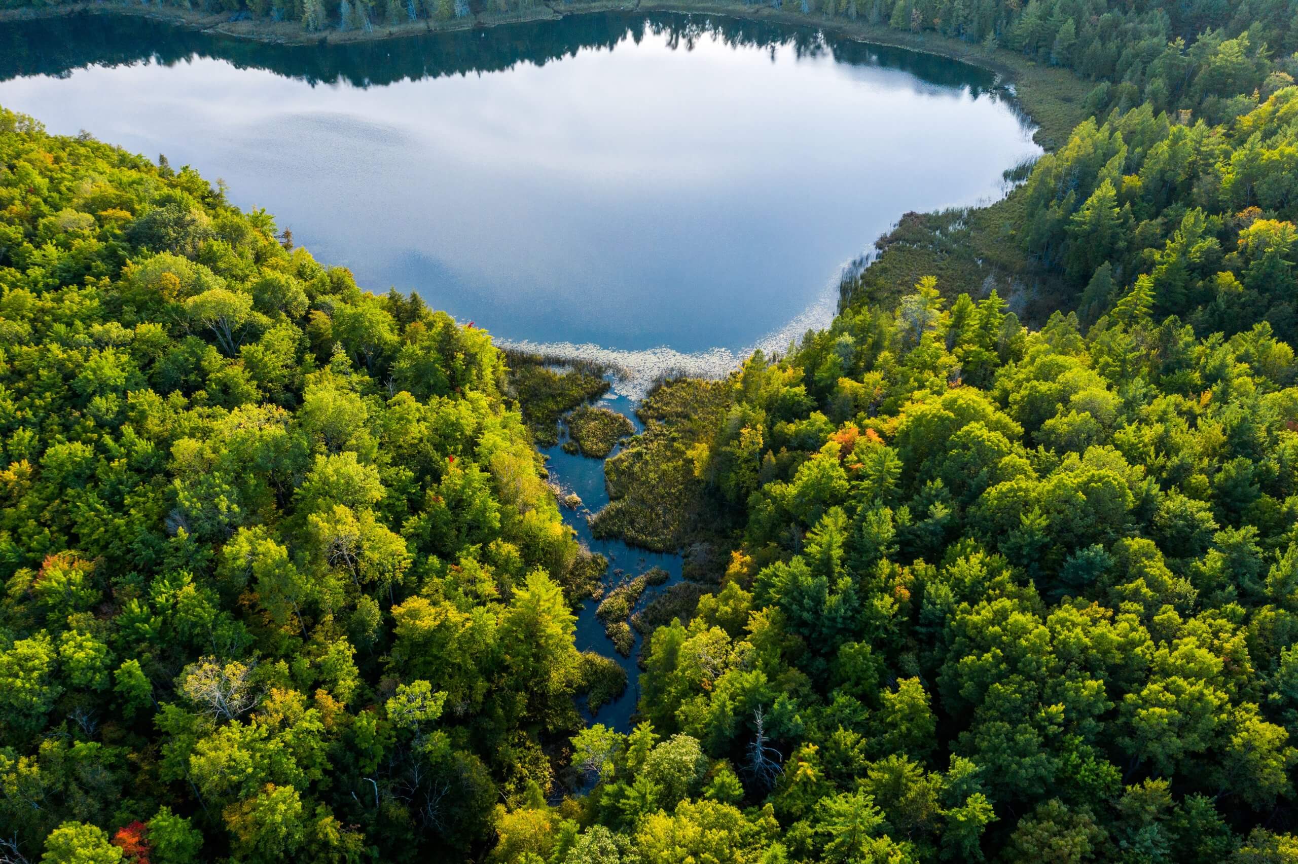 Lower Woodcock Lake_Aerial_Drone_Summer_Noah Jurik_2019 (5) - Grand ...