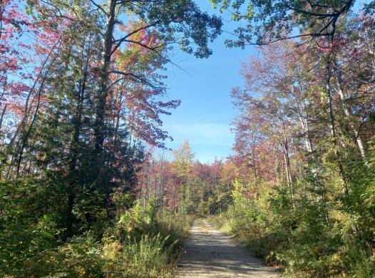 Canvas Tote – Grand Traverse Regional Land Conservancy